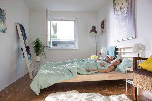 Pollenschutz mit Insektenschutzgitter Mit Pollenschutzgittern können Allergiker ruhig schlagen.